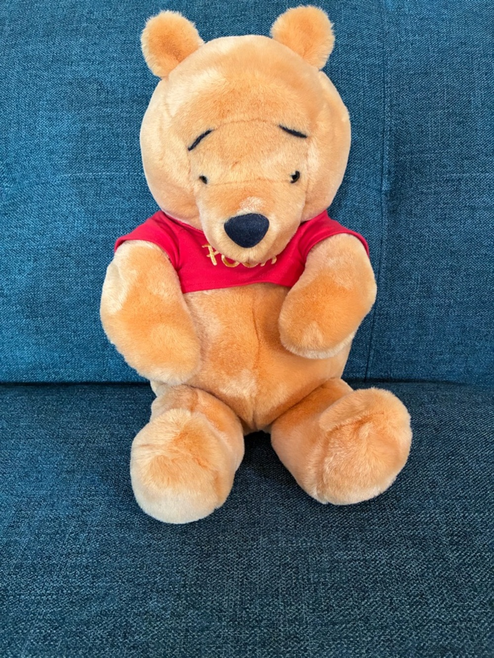 Disney Winnie the Pooh toy with embroidered red shirt